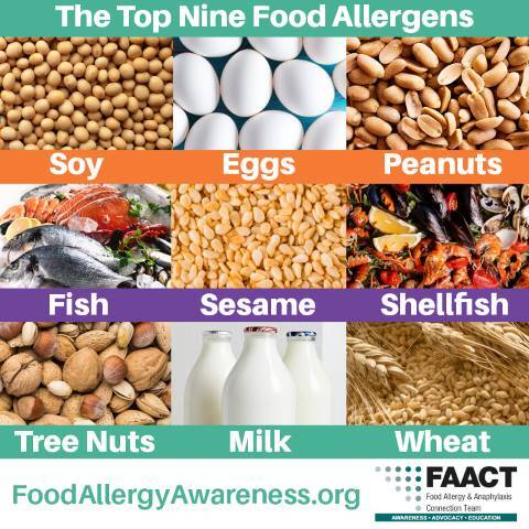 Top 9 Allergens